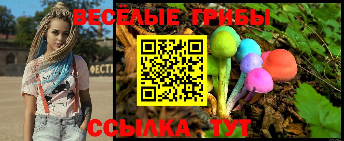 где продают   Вход с VPN  Острогожск  Псилоцибиновые грибы Cubensis 
